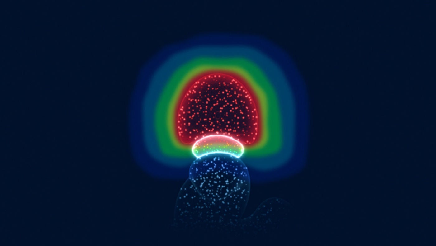 Illustration av prostata utan hydrogelspacer.