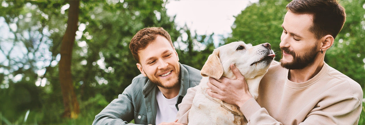 Two men walking a dog in nature talking about penile implants