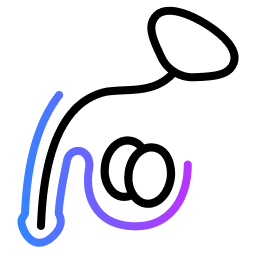 Erectile Dysfunction