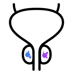 Icon that represents prostate cancer